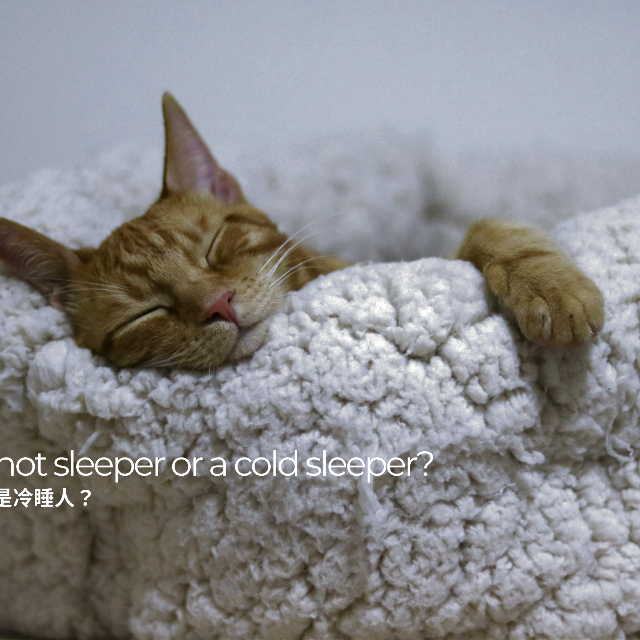 你是熱睡人，還是冷睡人？｜Are you a hot sleeper or a cold sleeper?