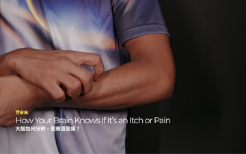 大腦如何分辨，是癢還是痛？How Your Brain Knows If It’s an Itch or Pain