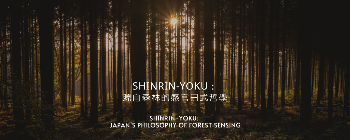 Shinrin-yoku：源自森林的感官日式哲學
