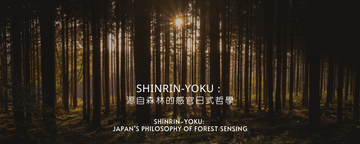 Shinrin-yoku：源自森林的感官日式哲學