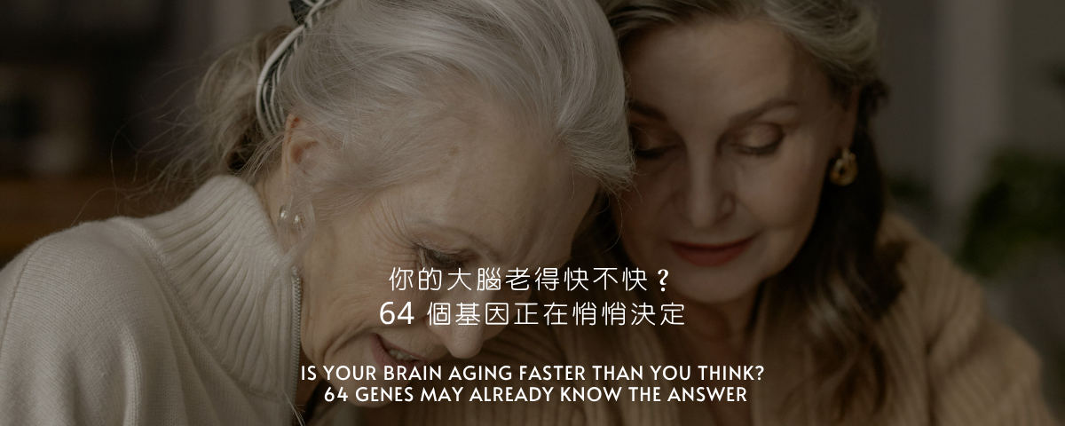 你的大腦老得快不快？64 個基因正在悄悄決定