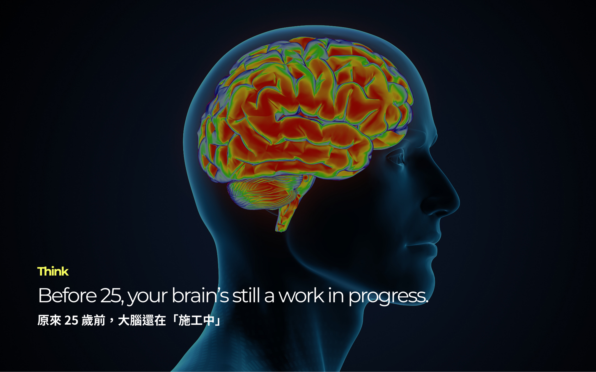 原來 25 歲前，大腦還在「施工中」 ｜ Before 25, your brain’s still a work in progress.