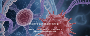最新研究：癌細胞，可能會從隔壁細胞偷能量？｜Latest Research: Cancer Cells Might Be Stealing Energy from Neighboring Cells