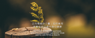正向情緒的力量：如何善用鼓勵的技巧提升身心健康