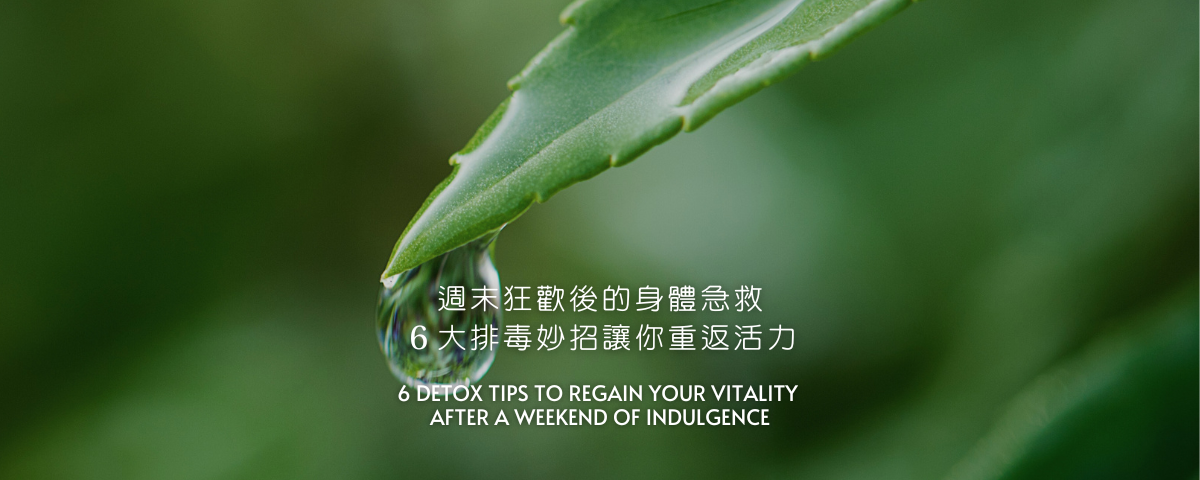 週末狂歡後的身體急救：6大排毒妙招讓你重返活力