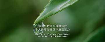 週末狂歡後的身體急救：6大排毒妙招讓你重返活力
