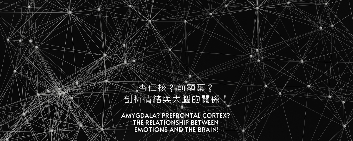杏仁核？前額葉？剖析情緒與大腦的關係！